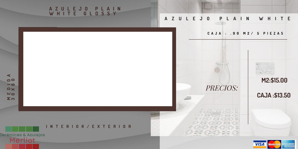 •AZULEJO PLAIN WHITE GLOSSY- 30X60 •